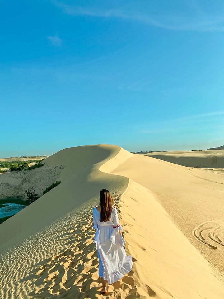 Ảnh slide minh họa 12